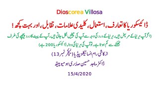 Dioscorea Villosa Homeopathic Medicine in Hindi Lecture 13 37acutemedicine [upl. by Ynar]