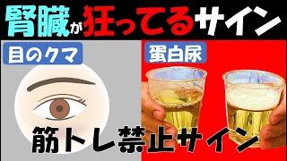 【筋トレ科学】腎臓と筋肉の関係性 腎機能低下のサインと腎機能を改善させる科学的手法 [upl. by Adla]