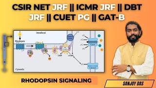 Cell Signaling  Bruce Alberts  CSIR NET JRF ICMR JRF DBT JRF GATE XL  Rhodopsin Signaling [upl. by Eatnad]