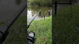 Carp run on sonik sks fishing carpfish fish carpfishing carpbitesamprunsuk [upl. by Imoan]