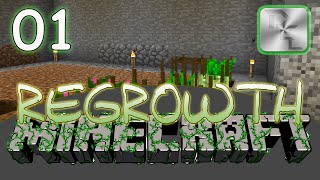 Minecraft Regrowth Modpack  Regrowth Lets Play  Ep 1  Getting Started in Regrowth [upl. by Eittam]