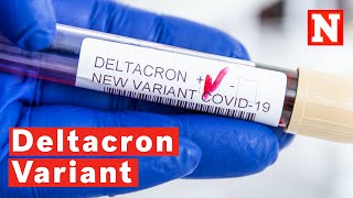 Deltacron What We Know So Far About The New COVID Variant [upl. by Nilyaj]