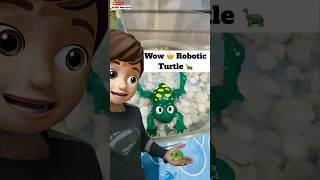 Wow 🤩 Robotic Turtle 🐢  minivlog [upl. by Newol]