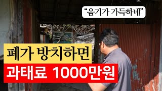 흉가 방치하면 과태료 1000만원 흉물스런 폐가 직접 방문해보았습니다 폐가 흉가 정책 부동산 [upl. by Anisamot482]