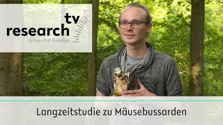 Langzeitstudie Mäusebussarde  researchtv Universität Bielefeld [upl. by Acinomahs143]