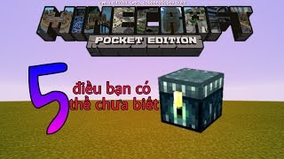 5 điều bạn có thể chưa biết về Ender Chest  Ngắm hoa Anh Đào [upl. by Anwahsak998]