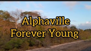 Alphaville  Forever Young traduçãolegenda [upl. by Jobe405]