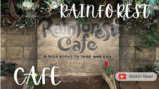 quotJungle Serenade Exploring the Rainforest Cafequot Menlo Park Mall NJ [upl. by Nailimixam]