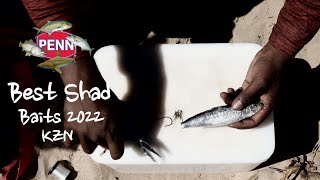 Best Shad Baits 2022 [upl. by Annis941]