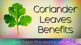 Coriander Leaves Benefits and Uses DhaniaCilantro [upl. by Severen960]