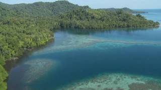 Wild New Britain Papua New Guinea [upl. by Sanfred398]