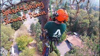 Arborist SpeedLining Principles PART 1 [upl. by Batish]