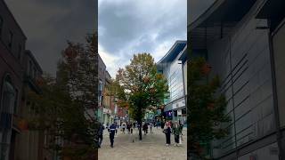 Manchester Decorated Trees manchester decorated trees [upl. by Shargel]