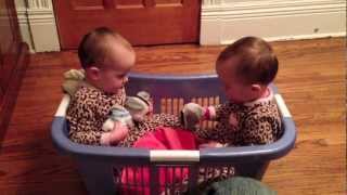 Twin Babies Talking in a Laundry Basket [upl. by Desireah]