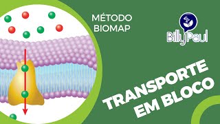 🔴 Transporte em Bloco  Prof Billy Paul  Método BioMap  Download na Descrição [upl. by Ecnarepmet]