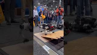 Innovative Rebar Tieing Robot [upl. by Hartill]