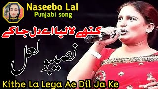 Kithe La Leya Ae Dil Ja Ke  Naseebo Lal  fizamukhtar138  HD Video [upl. by Cone]