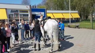 Spreekbeurt groep 6 Mirthe ponyrijden [upl. by Emyaj]