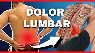 🔴 Los Mejores 5 Ejercicios para Mejorar Tu DOLOR LUMBAR ¡NO TE QUEDES PILLADO [upl. by Noskcire466]