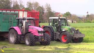 Pink Lady MF 7618 beim 1Schnitt Claas Jaguar 980 [upl. by Axe]