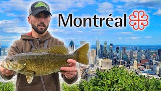 MONTREAL FISHING TOURNAMENT [upl. by Areid693]