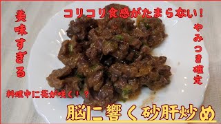 値引き品で400円以下コスパ最高！気づいたら食べきってる砂肝炒め [upl. by Buehrer961]