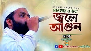 এশকের গজল  মাওলার এশকে জ্বলে আগুন  Bangla Eshker Gojol  Bangla Islamic song [upl. by Forsta]