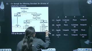 Go through the following flowchart for division of subphylum vertebrata Fill up the gaps A to [upl. by Gnaht]