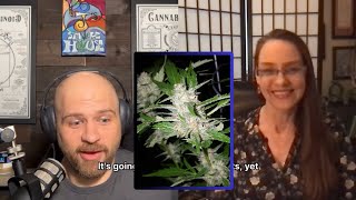 Hermaphrodite Cannabis Plants  Janna Champagne [upl. by Kay]