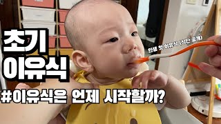 👶육아브이로그 이유식은 언제 시작할까┃초기 이유식 만들기┃식단표┃이유식 시작시기┃쌀미음┃5개월아기┃화질 1080p 설정 추천 [upl. by Lirpa789]