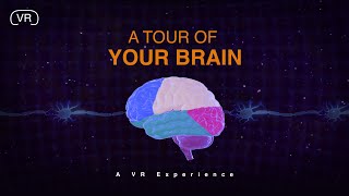 A Peak Inside Your Brain  VR Lesson [upl. by Duile]