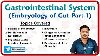 Embryology of Gastrointestinal system  Development of Foregut Part  1 [upl. by Nyrret]