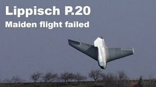 Lippisch P20 RC model prototype maiden flight failed 2018 [upl. by Rutledge]