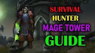 Survival Hunter  Mage Tower  Guide  Dragonflight Season 3 1025 [upl. by Kamillah164]