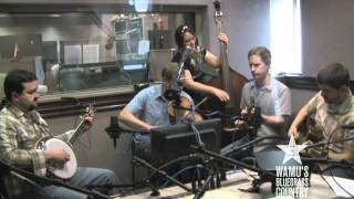 Foghorn Stringband  Sick Sad and Lonesome Live at WAMUs Bluegrass Country [upl. by Eelrak]