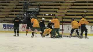 Vermont Mens Hockey 50th Anniversary Alumni Game Highlights 11213 [upl. by Lamak]