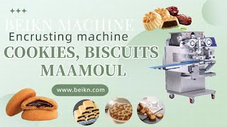 Panda cookies stuffed biscuits date bar encrusting and forming machine for small business [upl. by Brendan932]