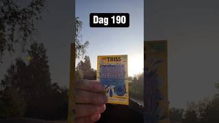 Skrapar triss i naturen ðŸŽ‰ Dag  190 triss skrapatriss trisslott [upl. by Elhsa]