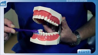 Comment se Brosser les Dents Correctement [upl. by Shult]