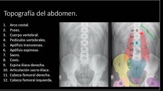 Radiologia básica de la radiografia del abdomen simple hepatomegalia cirrosis [upl. by Lankton]