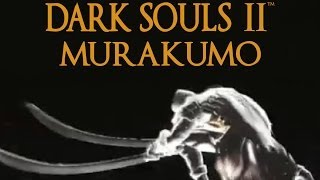 Dark Souls 2 Murakumo Tutorial dual wielding w power stance [upl. by Jarek]