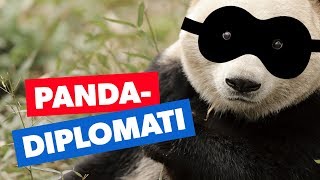 Er pandaer brikker i et storpolitisk spil [upl. by Boleslaw20]