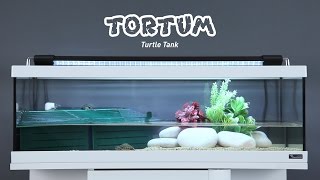 TORTUM [upl. by Nnylecoj87]