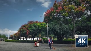 MRT Yuanshan Walking Tour Exploring Yuanshan Park 【花博公園圓山】 Area and the Sound of Birds  4K [upl. by Nylirem]