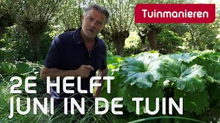 Juni in de tuin tweede helft  Tuinieren  Tuinmanieren [upl. by Mohandis978]