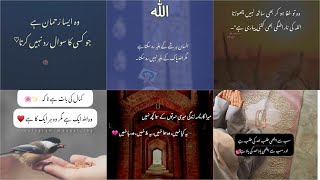 Islamic saying Love Allah  Urdu Quotes For Dpz  whtsapp dpz ❤️🥀 [upl. by Richlad]