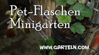 DIY Minigarten in der Pet Flasche [upl. by Bryna]