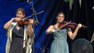 The String Family  Illawarra Folk Festival 2020 [upl. by Vasiliu]