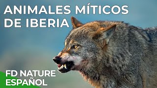 Animales Míticos de Iberia  Free Documentary Nature Español [upl. by Lorrayne962]