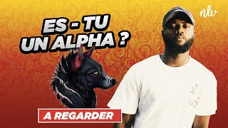 CEST QUOI ÊTRE UN ALPHA [upl. by Odradlig]